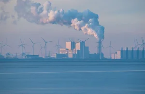 Na co Polska wydała środki ze sprzedaży CO2? Na pewno nie na ochronę klimatu