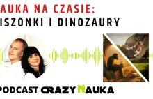 Kiszonki a ewolucja człowieka - Podcast [Nauka na czasie]