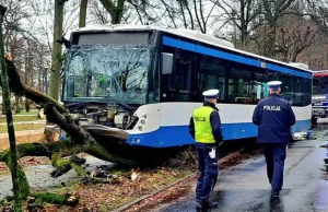 Wypadek w Dolnym Sopocie! Autobus z pasażerami uderzył w drzewo