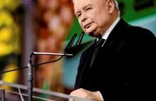 Kaczyński chciał krytykować robaki, a tu PiS dał miliony na badania