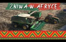 Żniwa po Polsku w Afryce