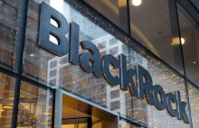 BlackRock wycofuje się z polityki wspierania DEI !