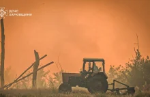 Pożar jest dla Rosji bronią. Jak chronić lasy przed wojną hybrydową?