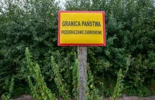 Straż Graniczna zapewnia: Nie wrócą kontrole na południowych granicach Polski