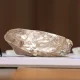 Półkilogramowy diament z Botswany będzie szlifowany w Belgii.