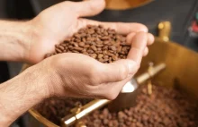 Kakao, cukier najtańsze od lat a producenci łupią klientów