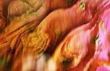 Raport "Gdzie żyje się najlepiej? Ocena jakości życia w gminach i przewodnik po