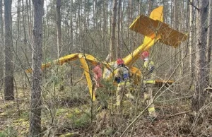 Awionetka spadła na las. Tragiczny wypadek w Wielkopolsce