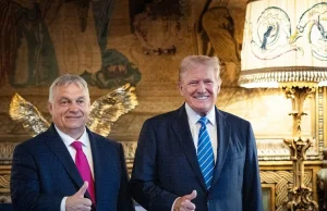 Jasna deklaracja Orbana po spotkaniu z Trumpem. "On to rozwiąże"