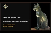 Skąd się wzięły koty: wykorzystanie badań DNA w archeozoologii
