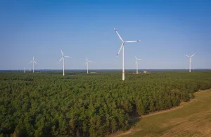 Estończycy wybudują w Polsce osiem farm wiatrowych