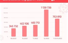 Polska 2023: Ponad 750 tys. zachorowań na grypę