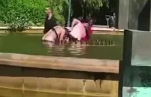 Mężczyzna próbuje utopić kobietę w publicznej fontannie