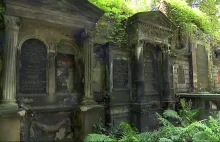 Katowice. Wandale urządzili libację na cmentarzu. Straty oszacowano na 200 tys.