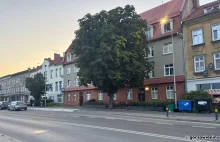 Gorzów: Nastolatka urodziła dziecko w domu i schowała je do szafy