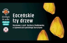 Eoceńskie łzy drzew, czyli o tajemnicach polskiego bursztynu