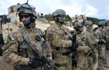 Wojsko polskie oczami "rozsądnego" rosyjskiego analityka.