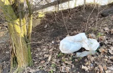 Wyrok dla zwyrodnialca, który udusił psa