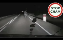 Po jezdni nocą chodzę właśnie tak