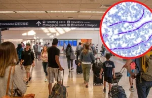 Naukowiec z Wuhan próbował przemycić niebezpieczny materiał biologiczny