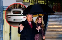 Trump zwalnia oszusta