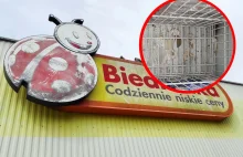 Od miesięcy sprzedają popsute mięso. Kontrola w Biedronce nic nie dała