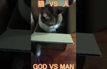 Cat VS People ~ God Tyolo Advent~