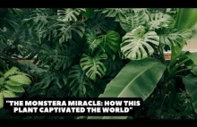 "The Monstera Miracle: How this Plant Captivated the World"