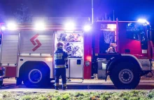 Trzy ofiary, nie można zidentyfikować płci