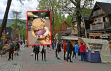 8 zł za wielką gałkę lodów Lublinie przy ulicy 1go Maja 4A.