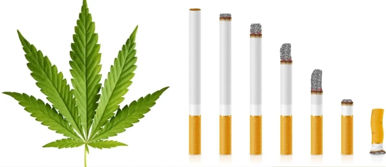 USA: Po raz pierwszy w historii więcej osób pali marihuanę niż papierosy