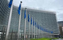 Komisja Europejska zamierza zignorować Węgry