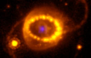 Nowo narodzona gwiazda neutronowa wykryta w pobliskiej supernowej
