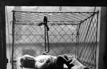 Ciekawy wynalazek: Klatka na dziecko podwieszana za oknem mikroapartamentu.