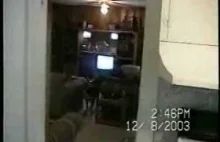 Pies prawdziwego faceta