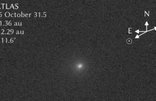 3I/ATLAS: Elon Musk wkracza do gry, a Avi Loeb stawia kosmiczne ultimatum.