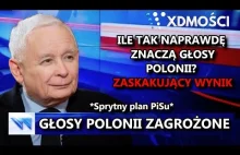 Obliczyłem ile Znaczą GŁOSY Polonii, ZASKAKUJĄCY WYNIK | XDmości 34