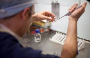 Duże zainteresowanie in vitro. Rządowe dofinansowanie przyciąga pary