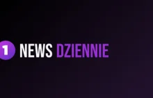 "Planowano wypędzenie z Niemiec milionów ludzi". Czy uda się zdelegalizować AfD?