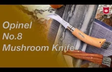 Opinel No.8 Mushroom Knife - Francuski Nóż na grzyby + Kayoba