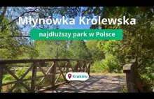 Młynówka Królewska w Krakowie najdłuższy park w Polsce!