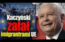 Kaczyński zaatakował UE. 350 tys. nielegalnych wiz dla ludzi z Afryki i Azji