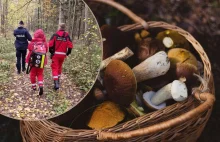 Tragedia podczas grzybobrania w przysuskim lesie. Nie żyje 83-latek