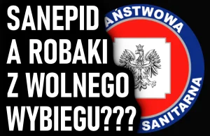 Sanepid - Czy robale z wolnego wybiegu są do spożycia? Telefon od przedsiębiorcy