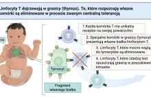 Nagroda Nobla w dziedzinie fizjologii lub medycyny 2025 przyznana