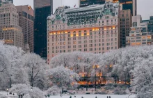 Zamieszkaj jak Kevin! The Plaza Hotel oferuje niezwykły pakiet z kultowego filmu