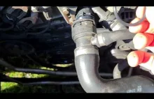 Znikający płych chłodniczy - powody