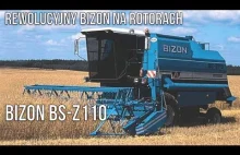 Bizon BS Z110