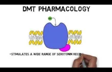 2-Minute Neuroscience: DMT [ENG]