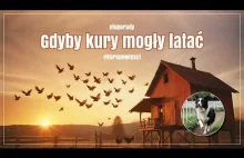 Gdyby kury mogły latać [kuropowieści]